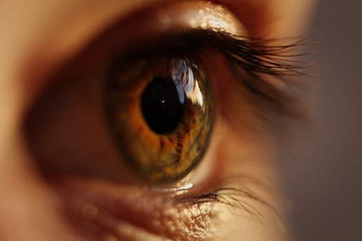 A striking macro close-up of a human eye showcasing the intricate details of the iris and eyelashes.